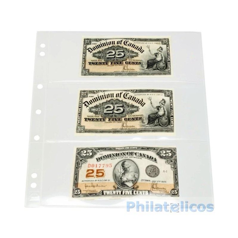 Hojas para billetes Leuchtturm NUMIS 3C transparentes (10 unds.)