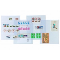 Hojas GRANDE 3C Leuchtturm para Billetes (5 unds.)