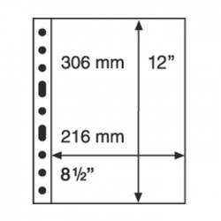 Hojas GRANDE 1C Leuchtturm para Billetes (5 unds.)