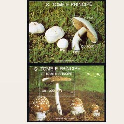 1992 Sto. Tomé y Príncipe. (Yvert.HB-116/7) **