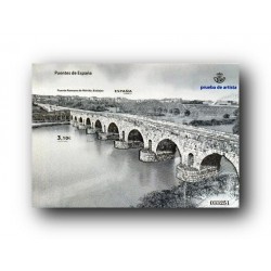 2013 Prueba del Artista. Puente Romano de Mérida.