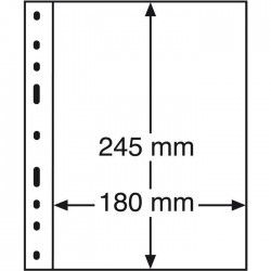 Hojas Leuchtturm OPTIMA 1C para billetes y documentos (10 unds.)