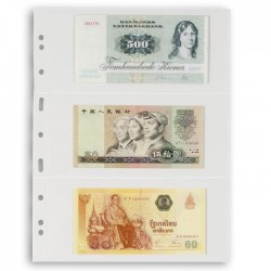 Hojas GRANDE 3C Leuchtturm para Billetes (5 unds.)