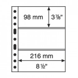 Hojas GRANDE 3C Leuchtturm para Billetes (5 unds.)