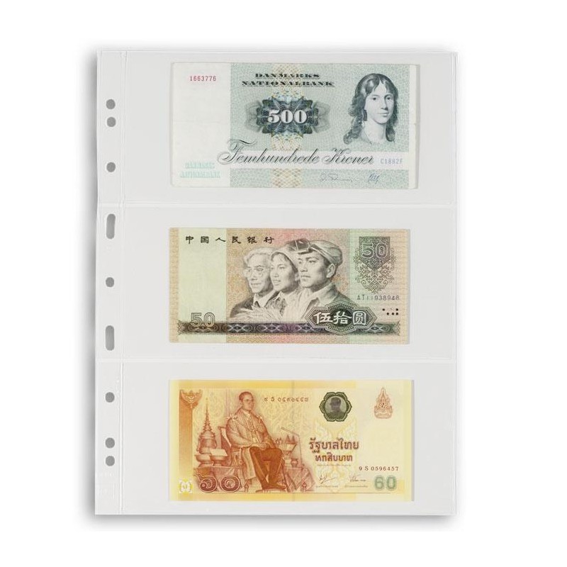 Hojas VARIO 3C Leuchtturm para billetes (5 uds.)