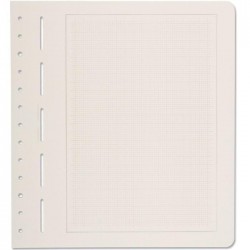 Hojas Leuchtturm para álbumes de sellos (en blanco con márgenes)