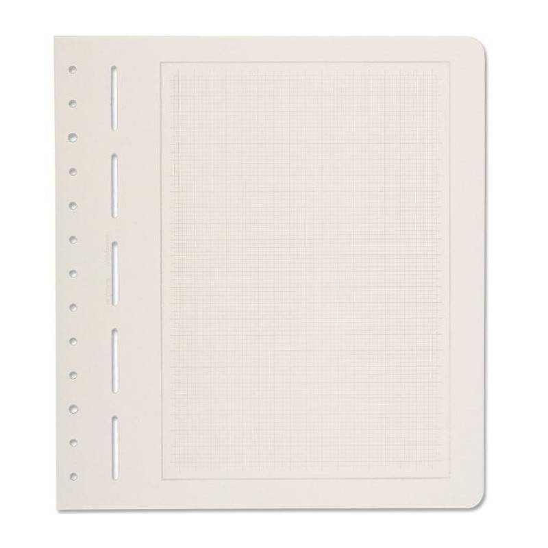 Hojas Leuchtturm para álbumes de sellos (en blanco con márgenes)